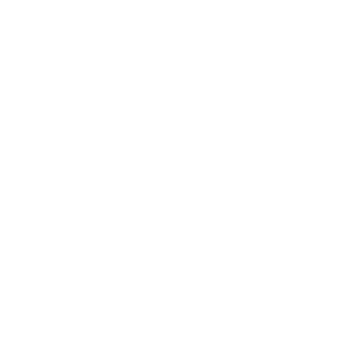 Veristore logo_Plan de travail 1 copie 4